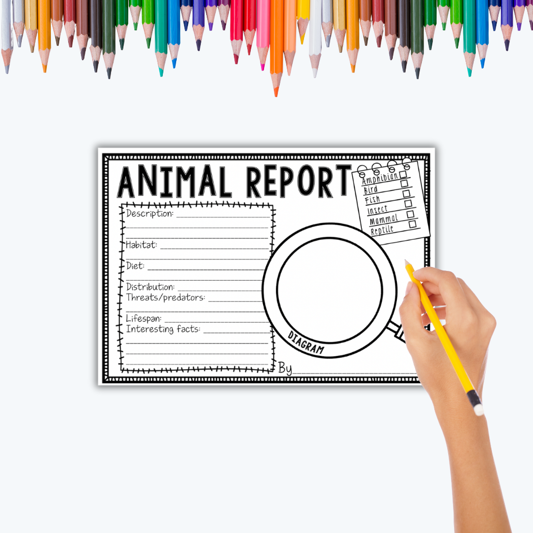 Animal Report Template | Digital Download – Mrs Edgar
