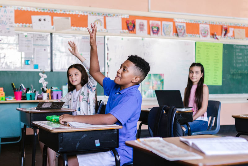 Persuasive Writing Activities for Students: 10 Fun Ideas