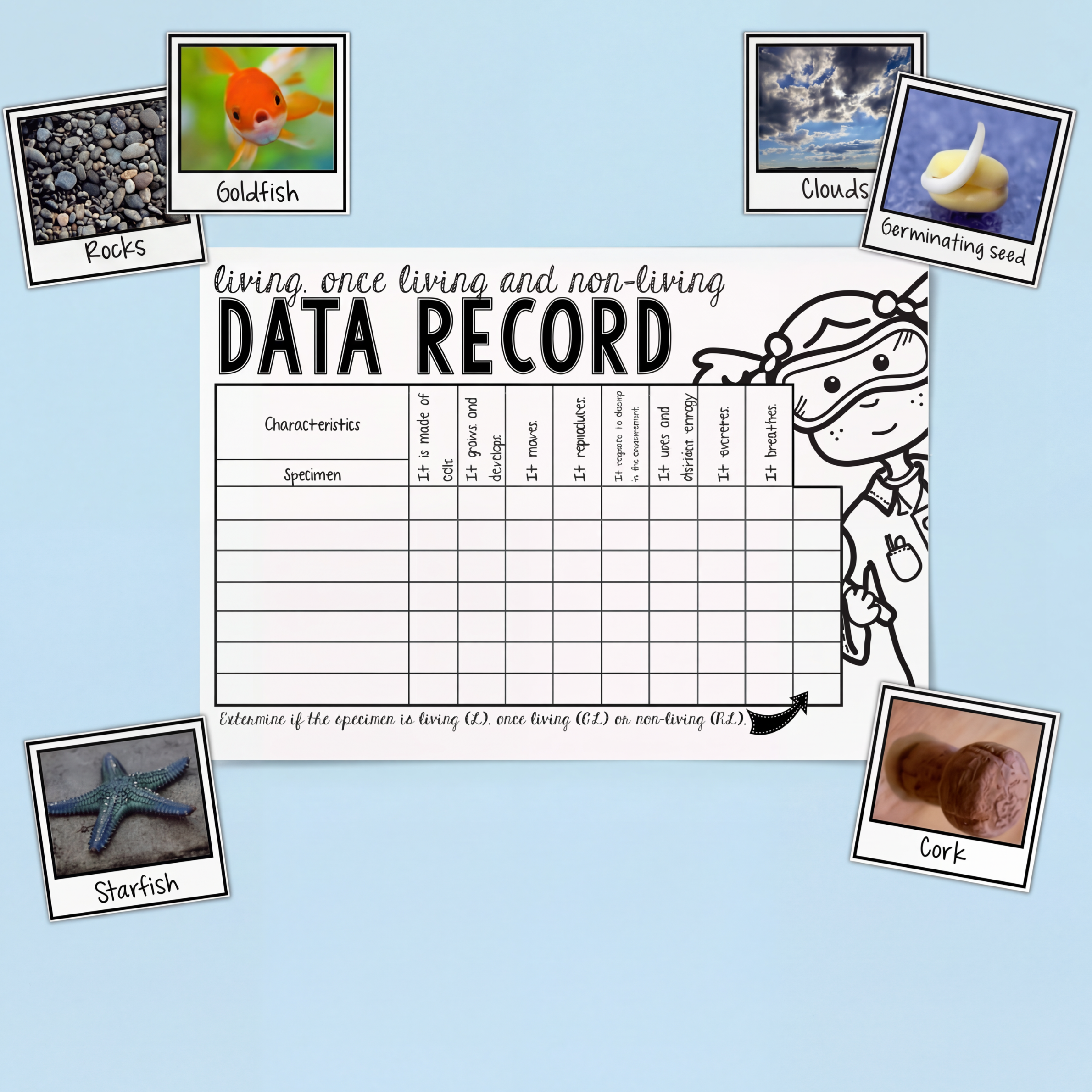 An engaging science investigation worksheet designed to help students explore the characteristics of living, once-living, and non-living things through observation and data collection. Students examine different specimens, identify life processes such as growth, movement, reproduction, and energy use, then record their findings in a structured data table. Perfect for early years and primary science lessons, classification activities, inquiry learning, STEM investigations, and introducing biological science 