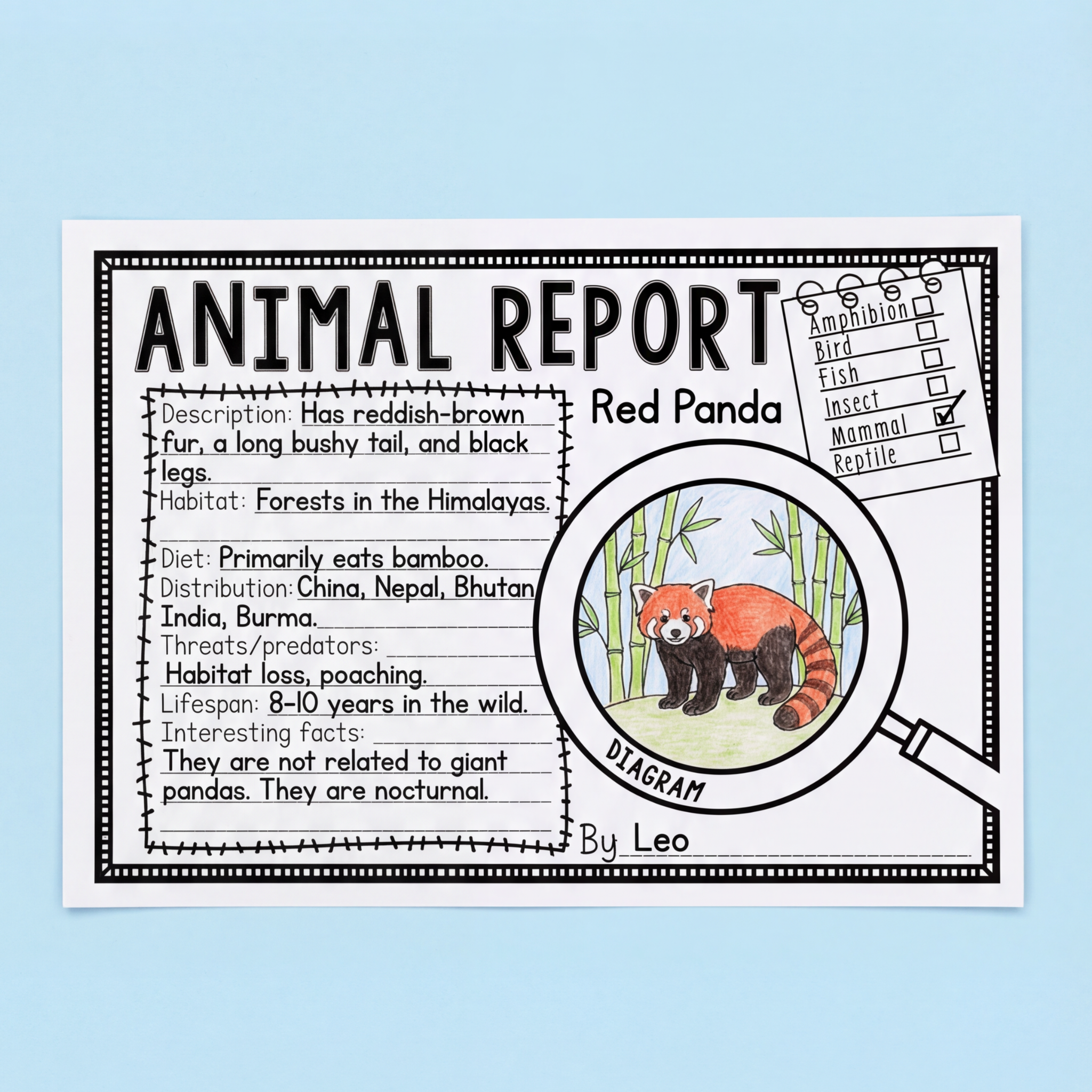 Student animal report worksheet with a hand holding a pencil, ready to write. Coloured pencils line the top, adding a creative classroom feel.