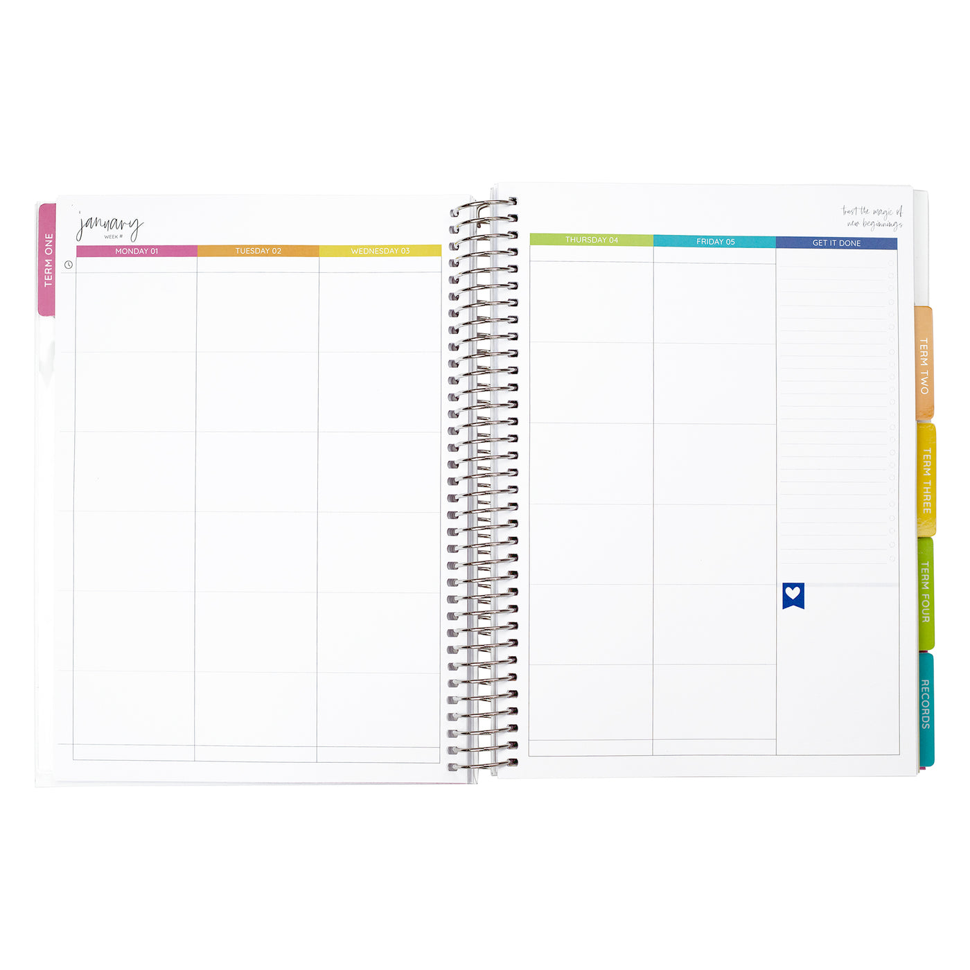 Daisies | 2024 Signature Weekly | Brights
