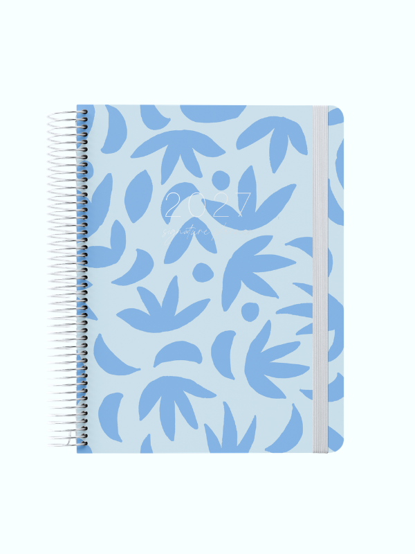 Sunburst Sky