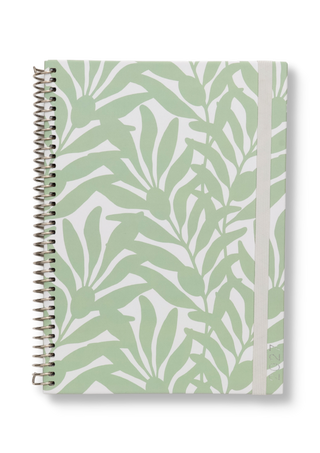 Olive Branches