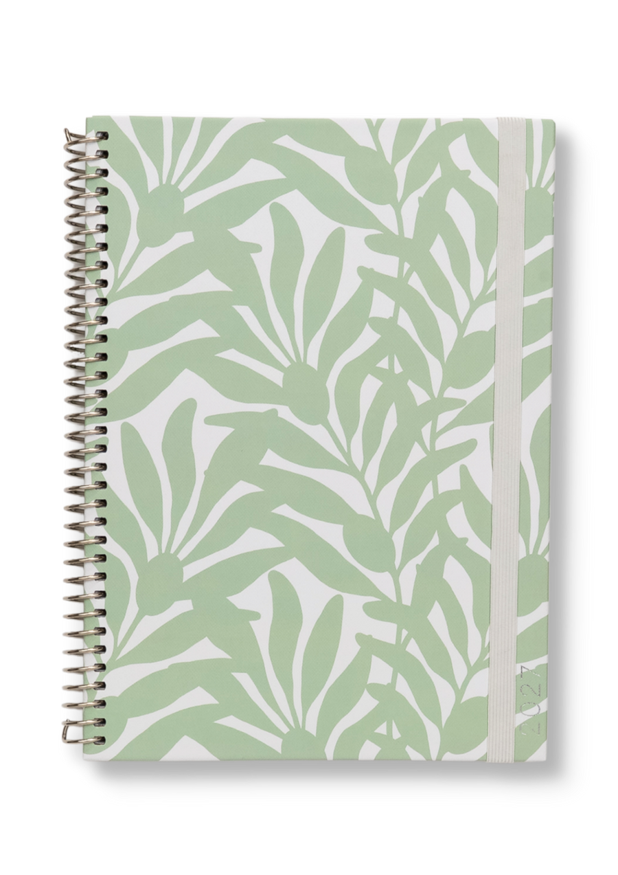 Olive Branches