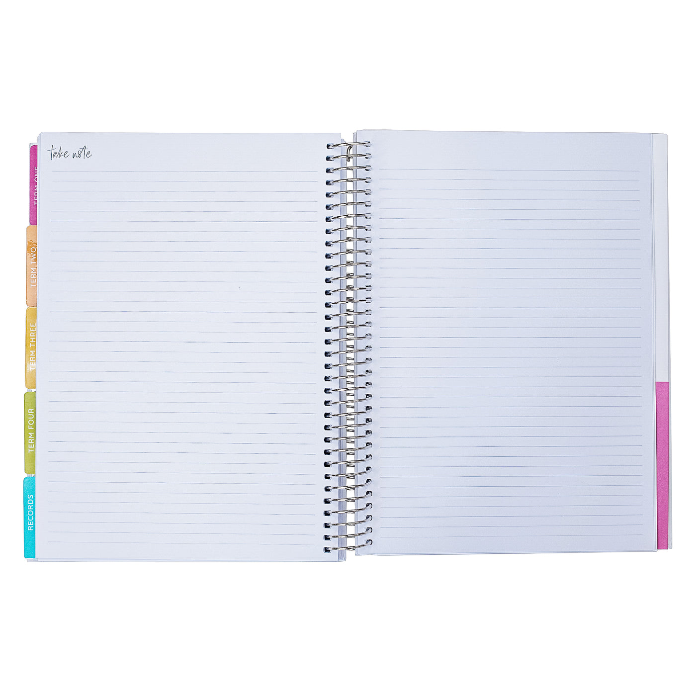 Daisies | 2024 Signature Weekly | Brights